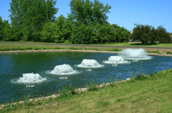 How the Right Water System Turns a Simple Pond&hellip;